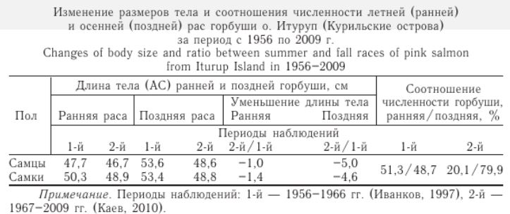 Изменение размеров тела и соотношения численности летней (ранней) и осенней (поздней) рас горбуши о. Итуруп (Курильские острова) за период с 1956 по 2009 г.