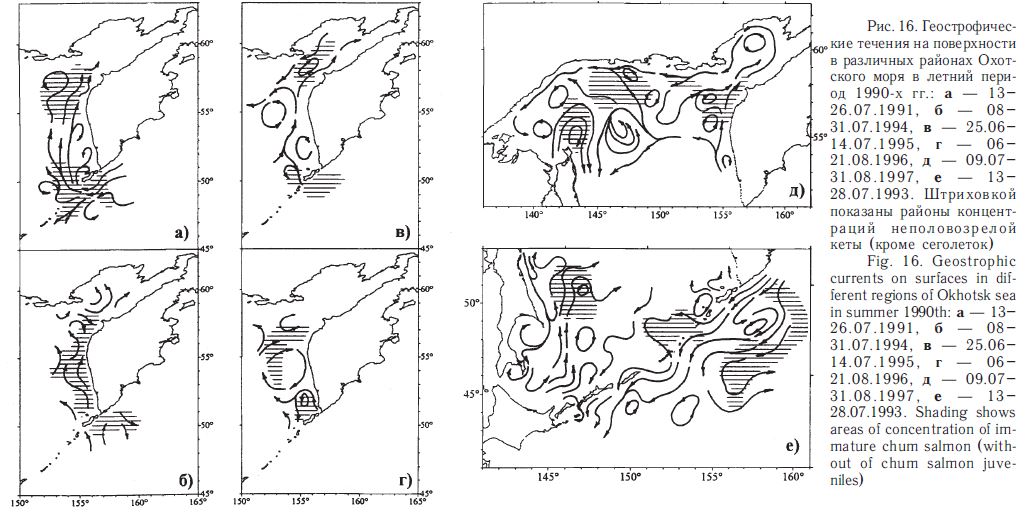 Рис. 16. Геострофические течения на поверхности в различных районах Охотского моря в летний период 1990-х гг.: а — 13-26.07.1991, б — 