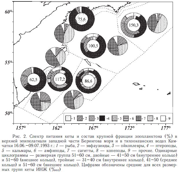Рис. 2. Спектр питания кеты и состав крупной фракции зоопланктона (%) в верхней эпипелагиали западной части Берингова моря и в 