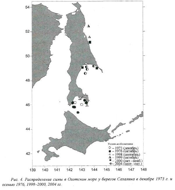 Распределение симы в Охотском море у берегов Сахалина в декабре 1973 г. и осенью 1976, 1998—2000, 2004 гг.