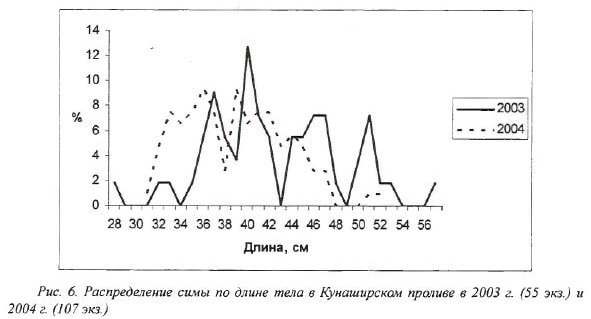 Распределение симы по длине тела в Кунаширском проливе в 2003 г. (55 экз.) и 2004 г. (107 экз.)