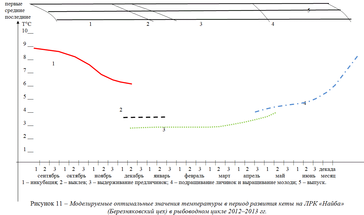 Моделируемые оптимальные значения температуры в период развития кеты на ЛРК «Найба»