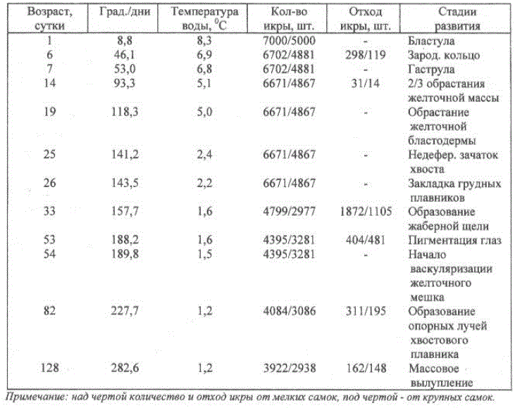 Таблица 2 Результаты инкубации икры от мелких и крупных самок проходной формы беломорской куми в 1999-2000 гг. в условиях Онежского рыбоводного завода