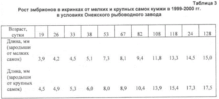 Таблица 3 Рост эмбрионов в икринках от мелких и крупных самок кумжи в 1999-2000 гг. в условиях Онежского рыбоводного завода