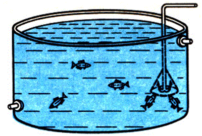 Бассейн с морской водой, оборудованный поилкой, в которую подается пресная вода