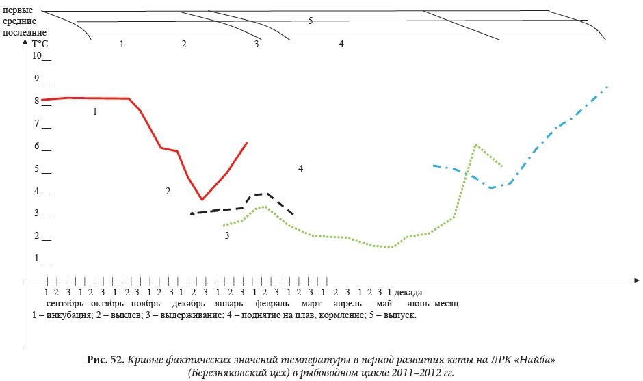 Кривые фактических значений температуры в период развития кеты на ЛРК «Найба» (Березняковский цех) в рыбоводном цикле 2011–2012 гг.