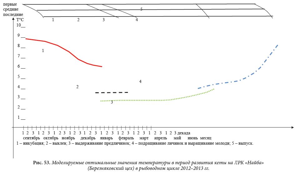 Моделируемые оптимальные значения температуры в период развития кеты на ЛРК «Найба» (Березняковский цех) в рыбоводном цикле 2012–2013 гг.