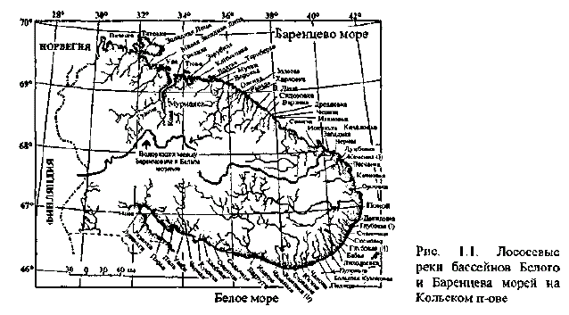 Реки белого моря на карте
