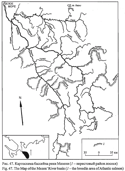 Map of the Mezen River basin